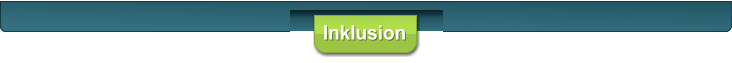 Inklusion