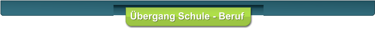 bergang Schule - Beruf